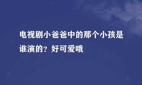 电视剧小爸爸中的那个小孩是谁演的？好可爱哦