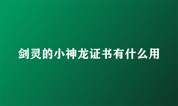 剑灵的小神龙证书有什么用
