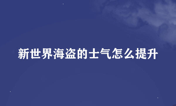 新世界海盗的士气怎么提升