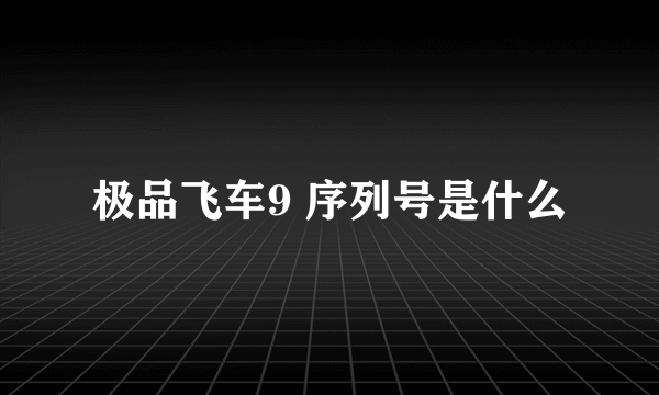 极品飞车9 序列号是什么