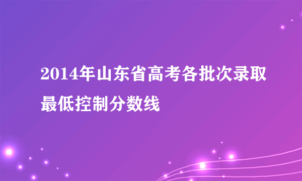 2014年山东省高考各批次录取最低控制分数线