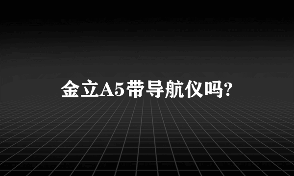 金立A5带导航仪吗?