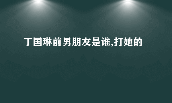 丁国琳前男朋友是谁,打她的