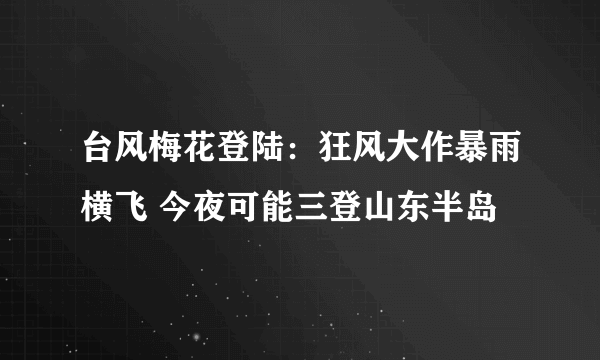 台风梅花登陆：狂风大作暴雨横飞 今夜可能三登山东半岛