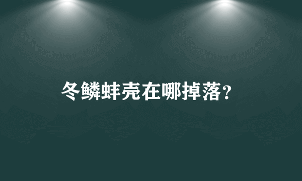 冬鳞蚌壳在哪掉落？