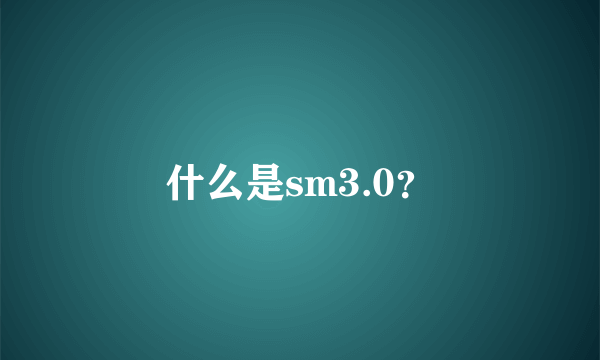 什么是sm3.0？