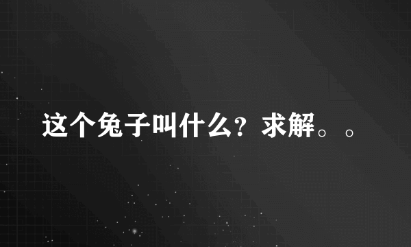 这个兔子叫什么？求解。。