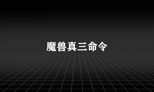 魔兽真三命令