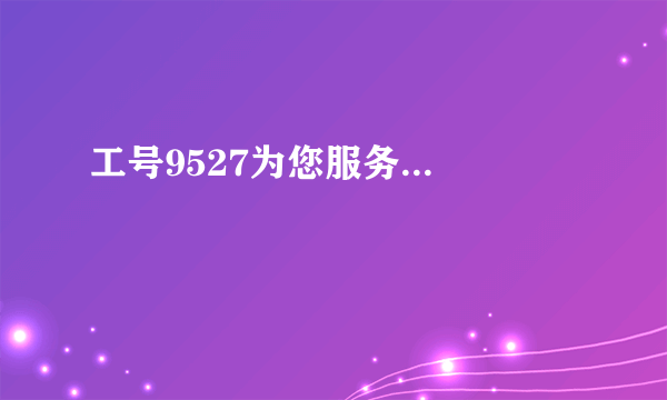 工号9527为您服务...