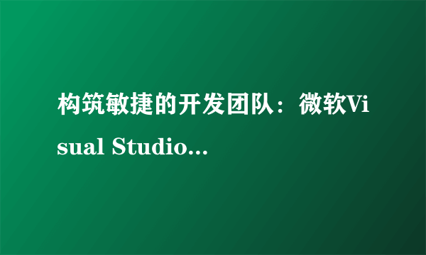 构筑敏捷的开发团队：微软Visual Studio 2010实战兵法作者简介