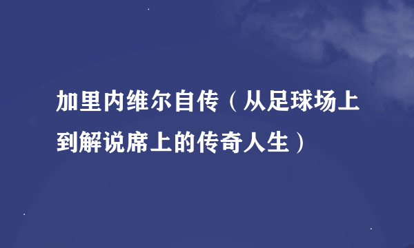 加里内维尔自传（从足球场上到解说席上的传奇人生）