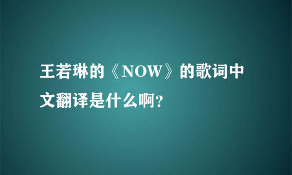 王若琳的《NOW》的歌词中文翻译是什么啊？
