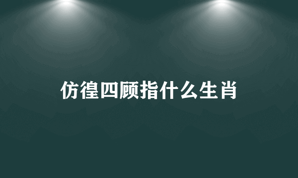 仿徨四顾指什么生肖