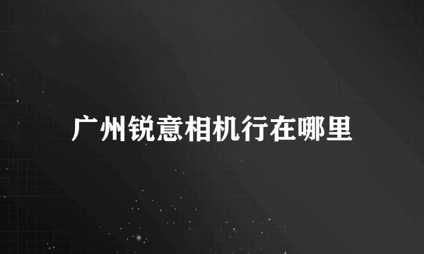 广州锐意相机行在哪里