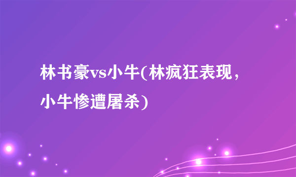 林书豪vs小牛(林疯狂表现，小牛惨遭屠杀)