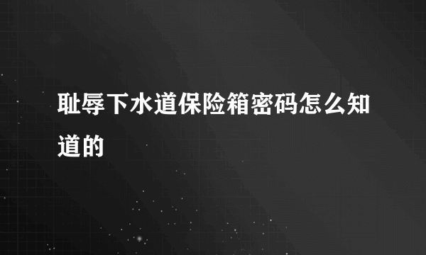 耻辱下水道保险箱密码怎么知道的
