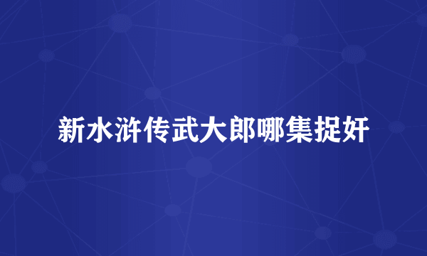 新水浒传武大郎哪集捉奸