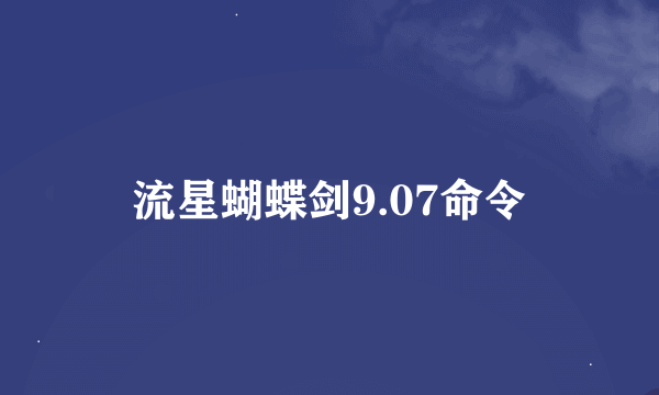 流星蝴蝶剑9.07命令