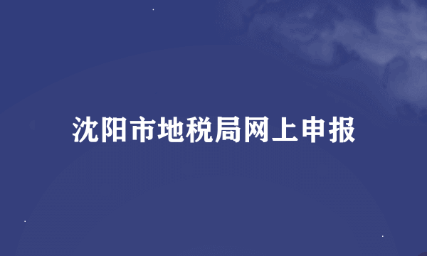 沈阳市地税局网上申报