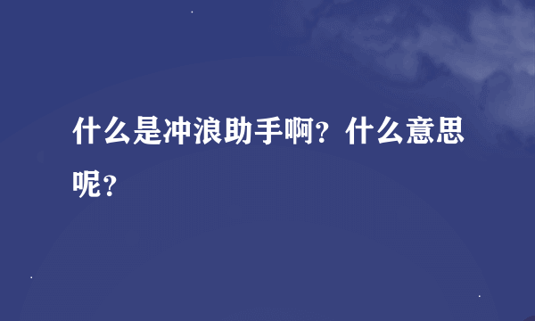 什么是冲浪助手啊？什么意思呢？