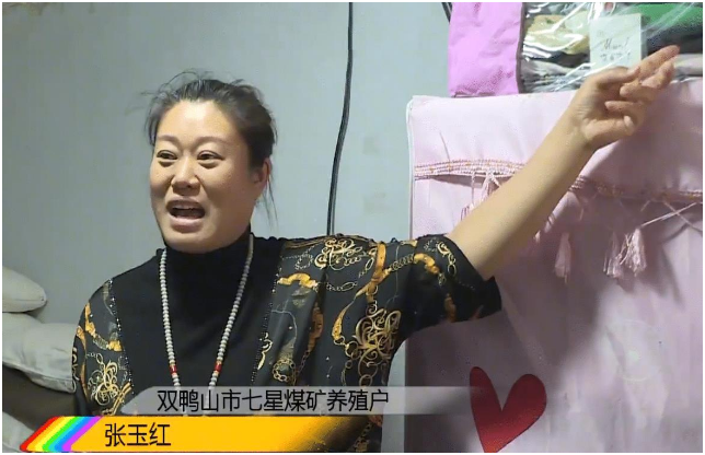 黑龙江女子入室盗窃还留下粪便，你如何看待女子的行为？