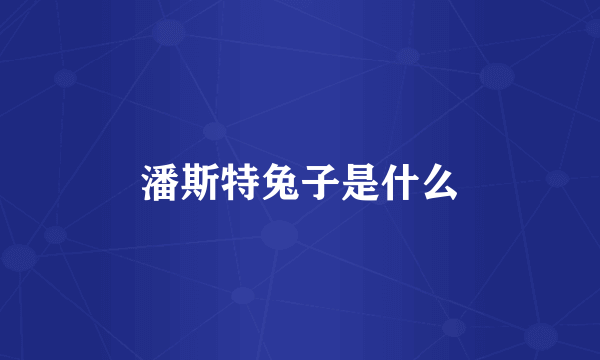 潘斯特兔子是什么