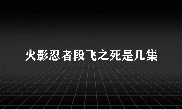 火影忍者段飞之死是几集