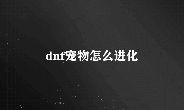 dnf宠物怎么进化