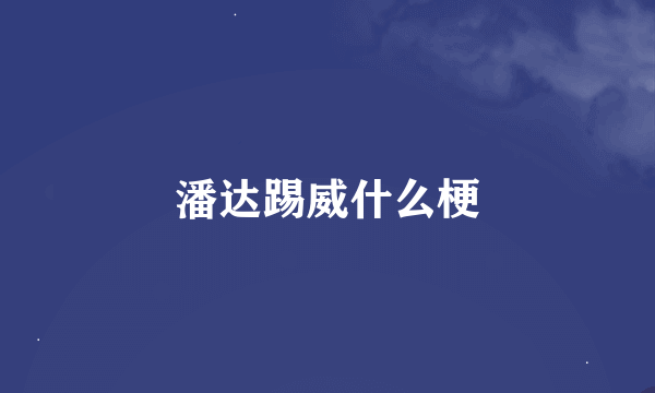 潘达踢威什么梗