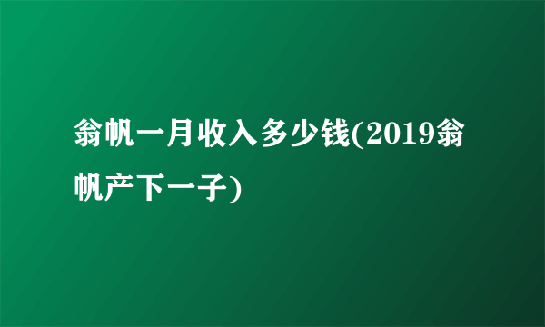 翁帆一月收入多少钱(2019翁帆产下一子)