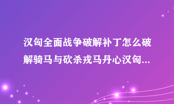 汉匈全面战争破解补丁怎么破解骑马与砍杀戎马丹心汉匈全面战争使用了1001破解补丁