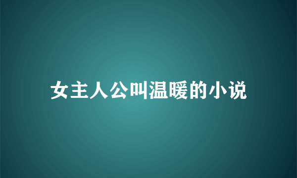 女主人公叫温暖的小说