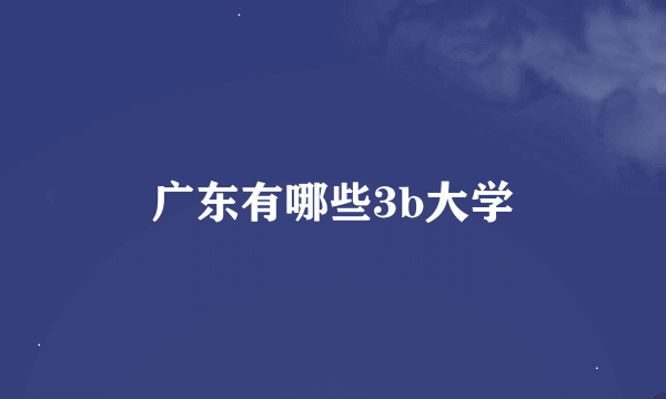 广东有哪些3b大学