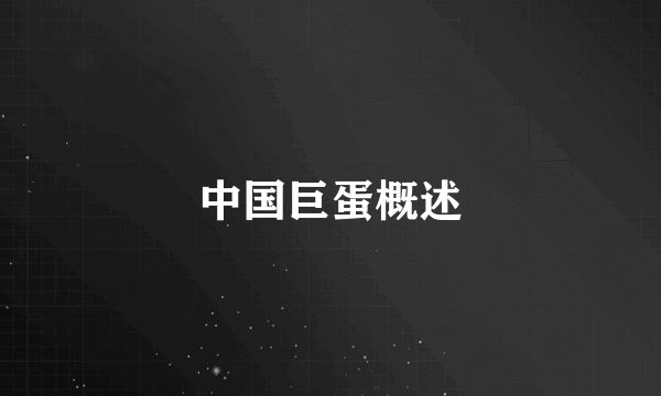 中国巨蛋概述
