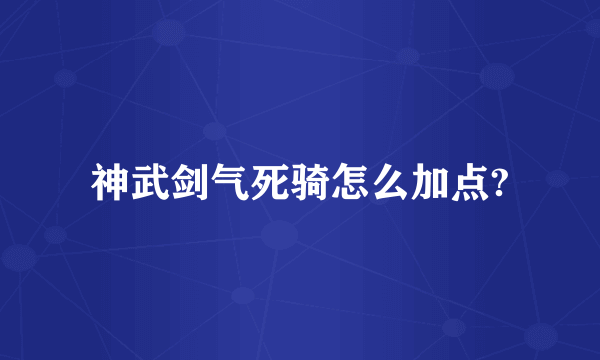 神武剑气死骑怎么加点?