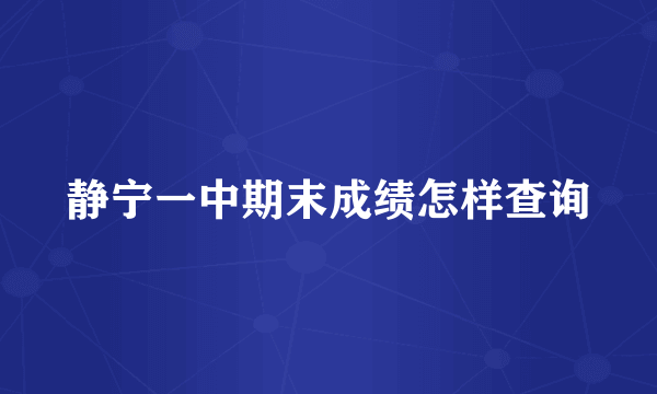 静宁一中期末成绩怎样查询