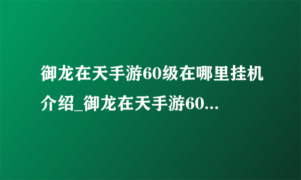 御龙在天手游60级在哪里挂机介绍_御龙在天手游60级在哪里挂机是什么
