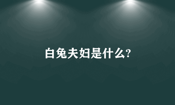 白兔夫妇是什么?
