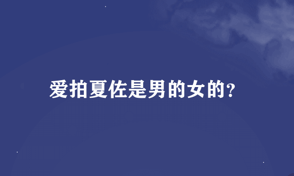 爱拍夏佐是男的女的？
