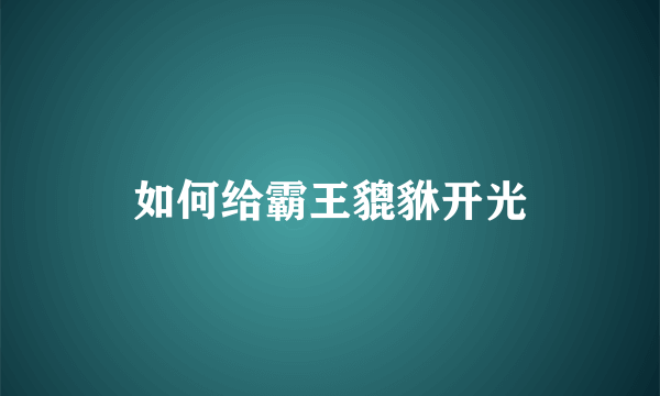 如何给霸王貔貅开光
