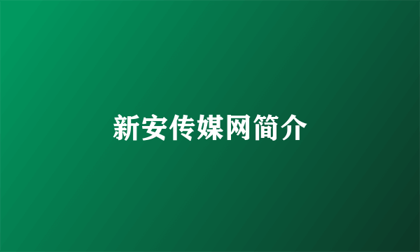新安传媒网简介