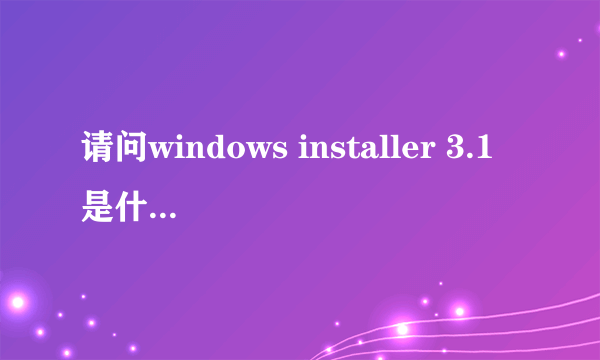 请问windows installer 3.1是什么程序啊