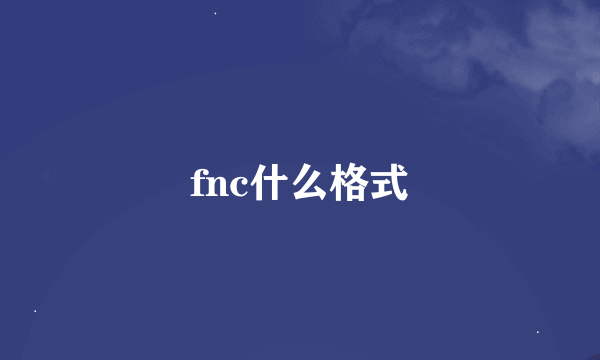 fnc什么格式