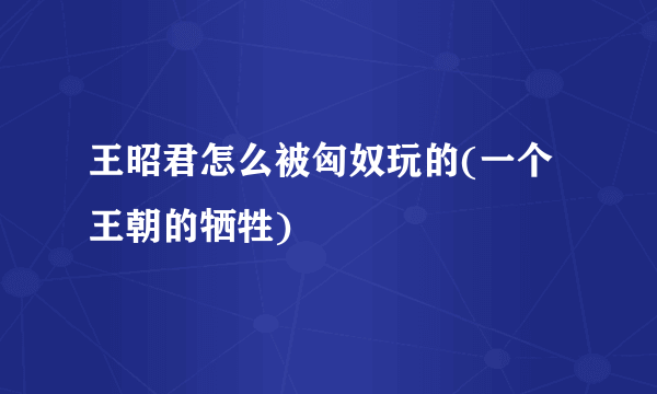 王昭君怎么被匈奴玩的(一个王朝的牺牲)