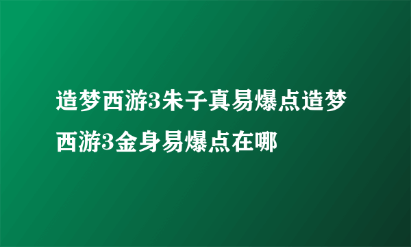 造梦西游3朱子真易爆点造梦西游3金身易爆点在哪