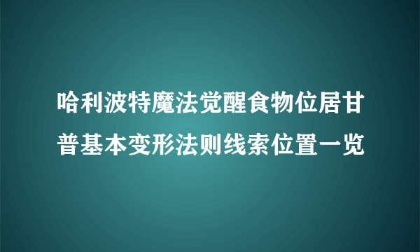 哈利波特魔法觉醒食物位居甘普基本变形法则线索位置一览