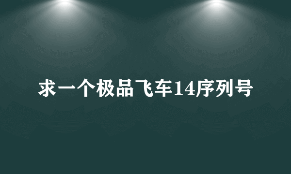 求一个极品飞车14序列号