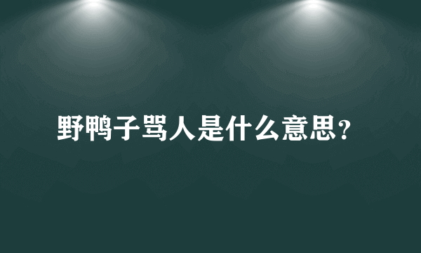 野鸭子骂人是什么意思？