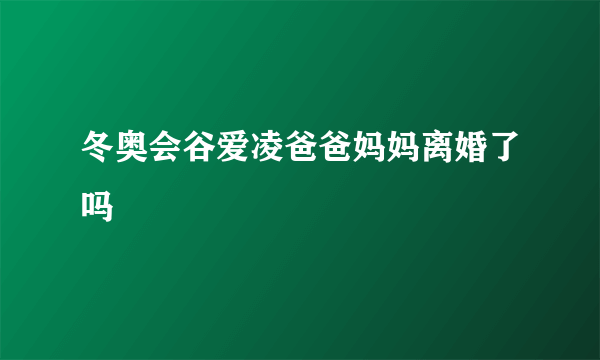 冬奥会谷爱凌爸爸妈妈离婚了吗