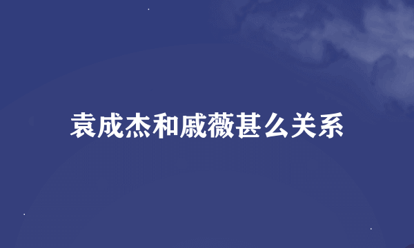 袁成杰和戚薇甚么关系